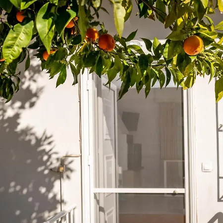 Leisure Moments Maisonette By Travelpro Services Halkidiki Possidi