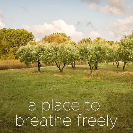 Leisure Moments Maisonette By Travelpro Services Halkidiki Holiday home
